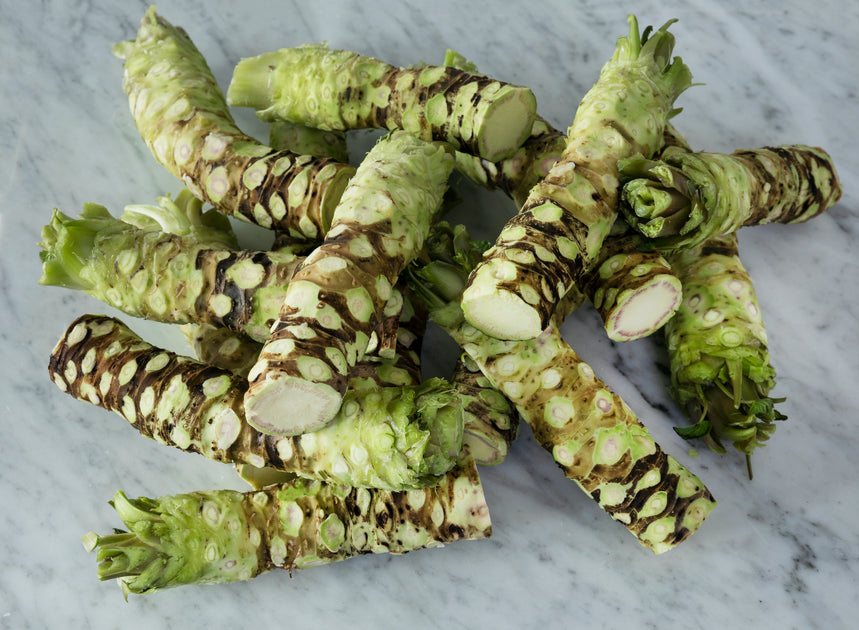 Fresh wasabi Nordic Wasabi