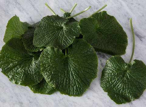 Wasabi leaves 1000g
